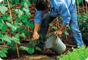 Fertilising