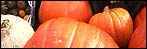 Clive Groves - Pumpkins