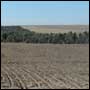 Wongan Hills