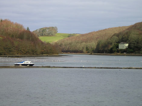 Looe estuary