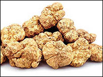 Trufas