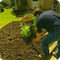 Forking soil