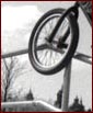 Fraz: 50/50 to fakie