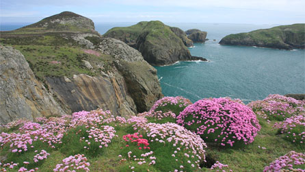 ramsey_island.jpg