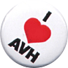 I love Armband Van Halen