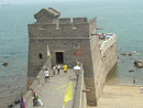 Dragon's head