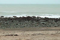 Traeth Llandanwg