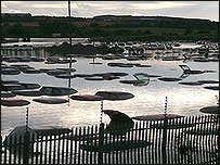 Adwick Motor Auctions flooded