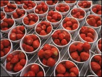 Strawberries