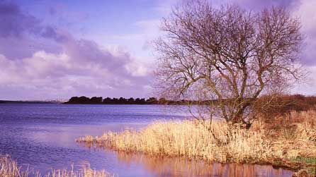 Llyn Alaw