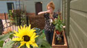 Alys Fowler making a windwo box