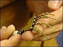 A puppet's armature