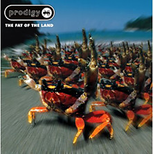 Review of The Fat of the Land – 15th Anniversary Expanded Edition