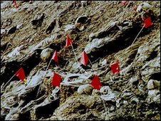massgraves.jpg