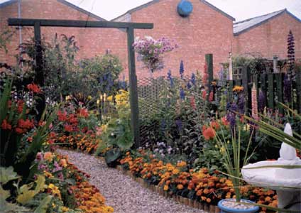 Our Back Garden