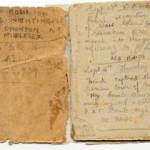 The original diary.