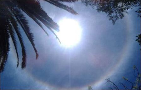 sunshinea.jpg