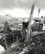Workers