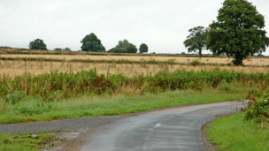 farm_land