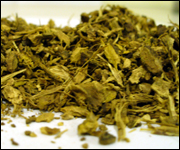 Herb