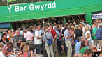 The Green Bar