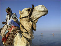 Sinai