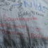 Paniz has promotion on her shirt!