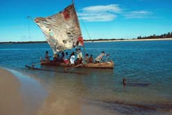 Madagascar - Morondava