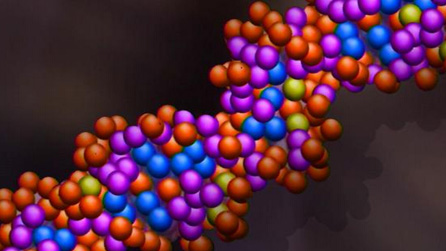DNA