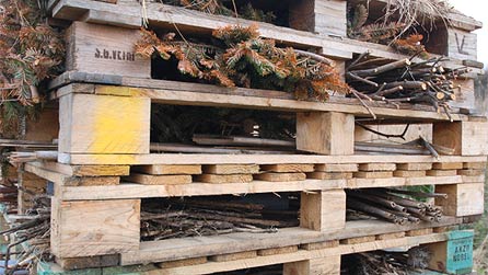 insect_hotel.jpg