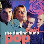 Pop Said cover