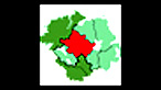 Co. Tyrone Team Crest