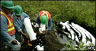 Workers clean up after oil spill in Ecuador's rainforest