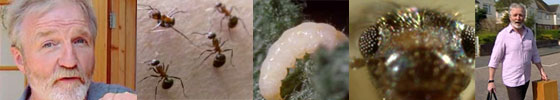 George McGavin and insects