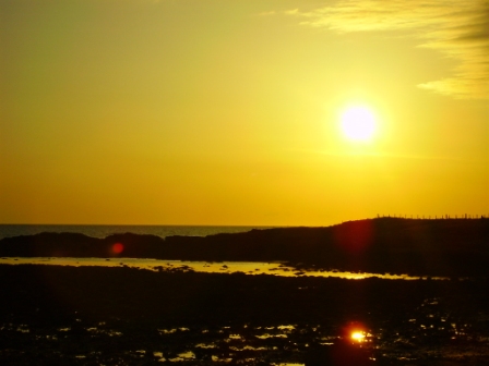 stinky bay sunset