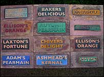 Colourful signs