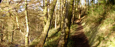 Malverns
