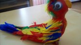 Parrot