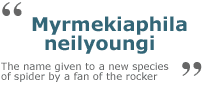 young.gif