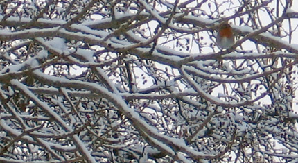 BBC Radio Foyle - Special Features - Big freeze gallery