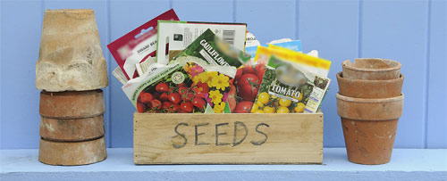 seeds