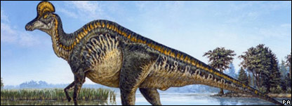 A dinosaur