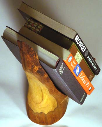 shika_bookshelf_iso.jpg