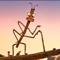 Slim the stick insect (click to view full-size image)