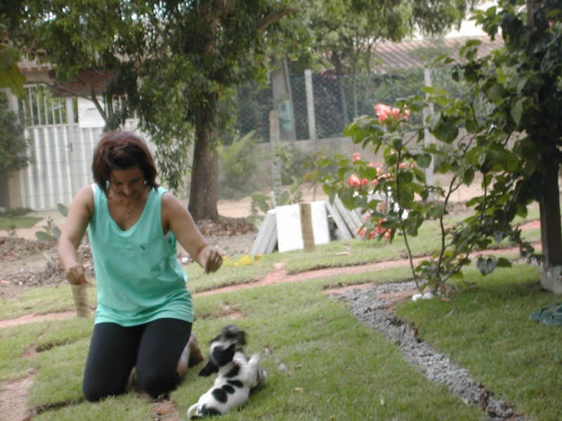 Pucca, Garu and me