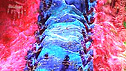 Close up of fabric