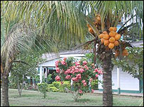 Curte Pio Stefanel