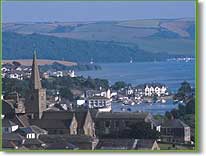 The Estuary