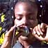 Noisettes