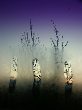 Distortion